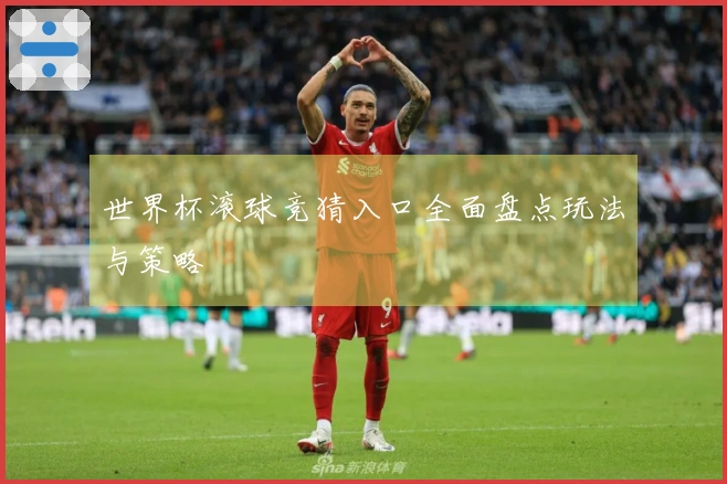 世界杯滚球竞猜入口全面盘点玩法与策略