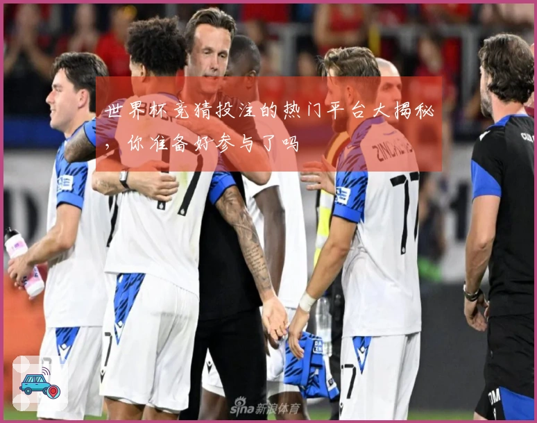世界杯竞猜投注的热门平台大揭秘，你准备好参与了吗