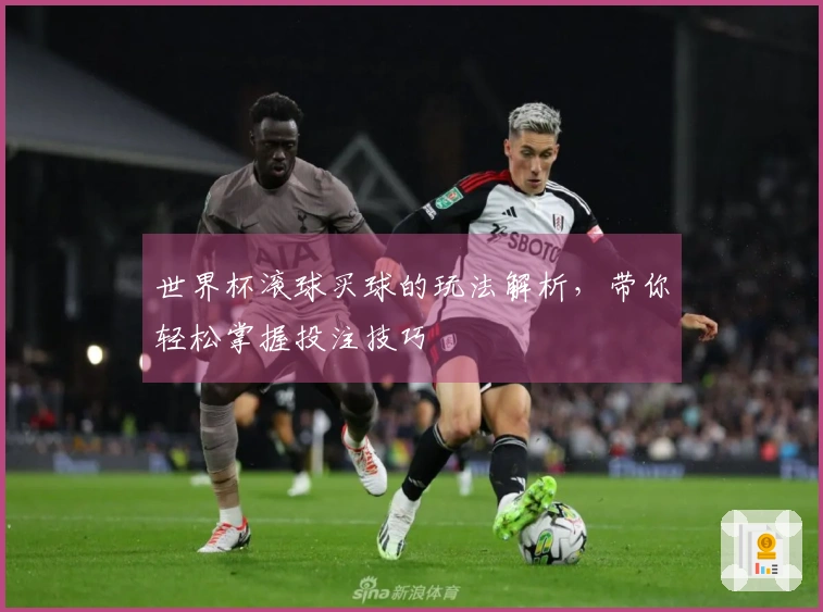 世界杯滚球买球的玩法解析，带你轻松掌握投注技巧