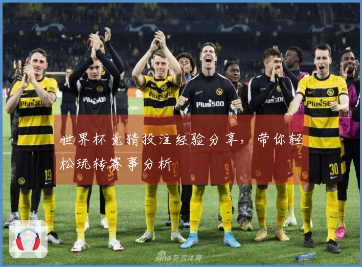 世界杯竞猜投注经验分享，带你轻松玩转赛事分析