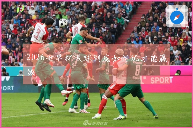2026世界杯滚球到底如何玩才能赢钱