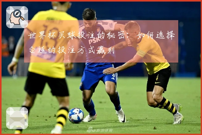 世界杯买球投注的秘密：如何选择合适的投注方式赢利