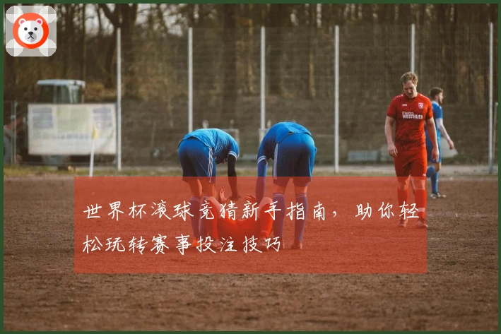 世界杯滚球竞猜新手指南，助你轻松玩转赛事投注技巧