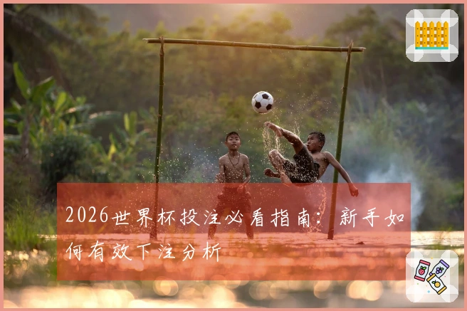 2026世界杯投注必看指南：新手如何有效下注分析