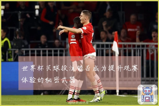 世界杯买球投注能否成为提升观赛体验的秘密武器