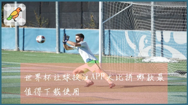 世界杯让球投注APP大比拼 哪款最值得下载使用