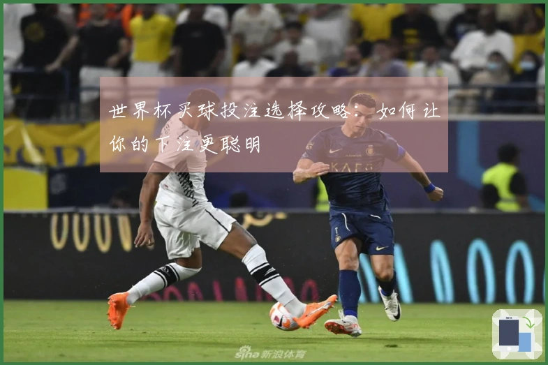 世界杯买球投注选择攻略：如何让你的下注更聪明