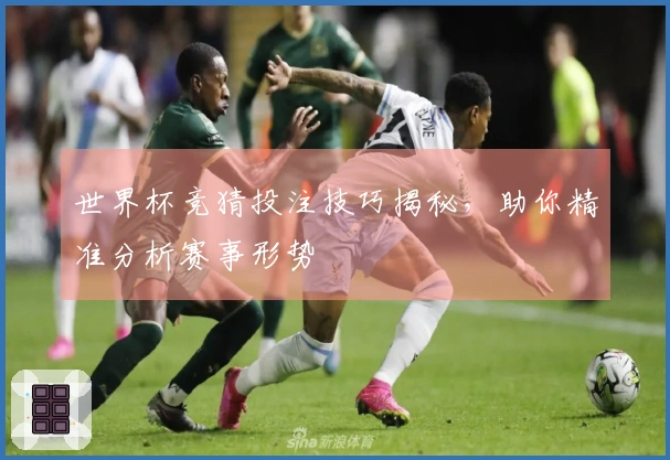 世界杯竞猜投注技巧揭秘，助你精准分析赛事形势