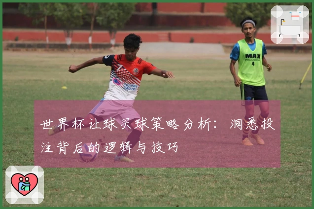 世界杯让球买球策略分析：洞悉投注背后的逻辑与技巧