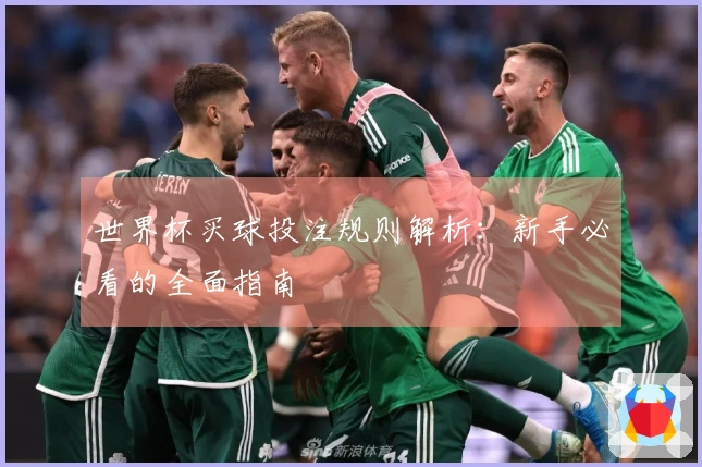 世界杯买球投注规则解析：新手必看的全面指南