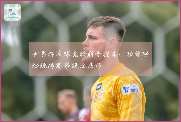 世界杯滚球竞猜新手指南，助你轻松玩转赛事投注技巧