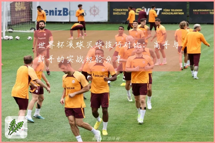 世界杯滚球买球技巧对比：高手与新手的实战经验分享