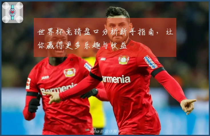 世界杯竞猜盘口分析新手指南，让你赢得更多乐趣与收益