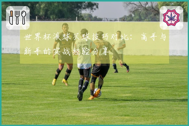世界杯滚球买球技巧对比：高手与新手的实战经验分享