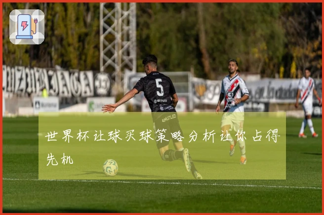 世界杯让球买球策略分析让你占得先机