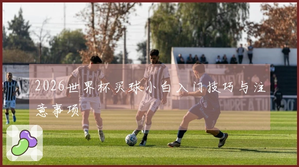 2026世界杯买球小白入门技巧与注意事项