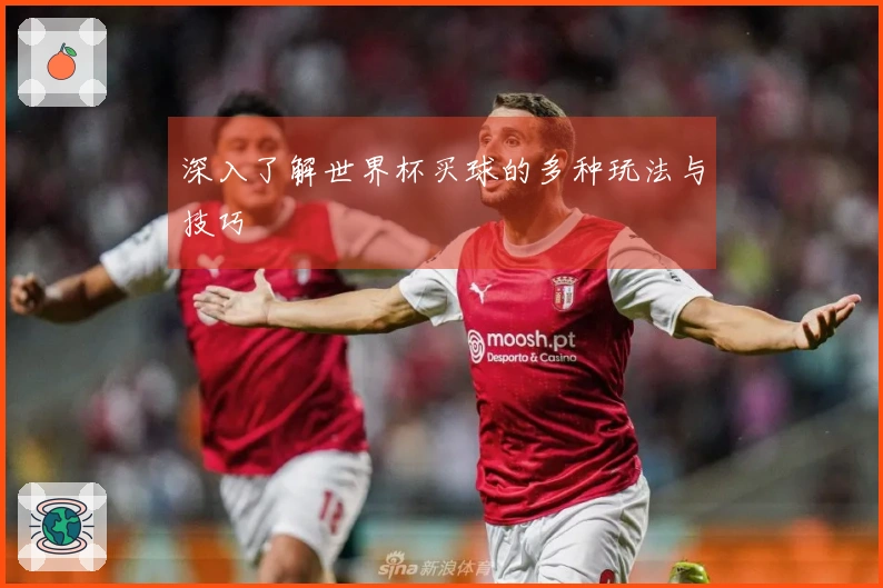 深入了解世界杯买球的多种玩法与技巧