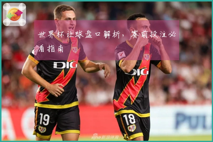 世界杯让球盘口解析，赛前投注必看指南